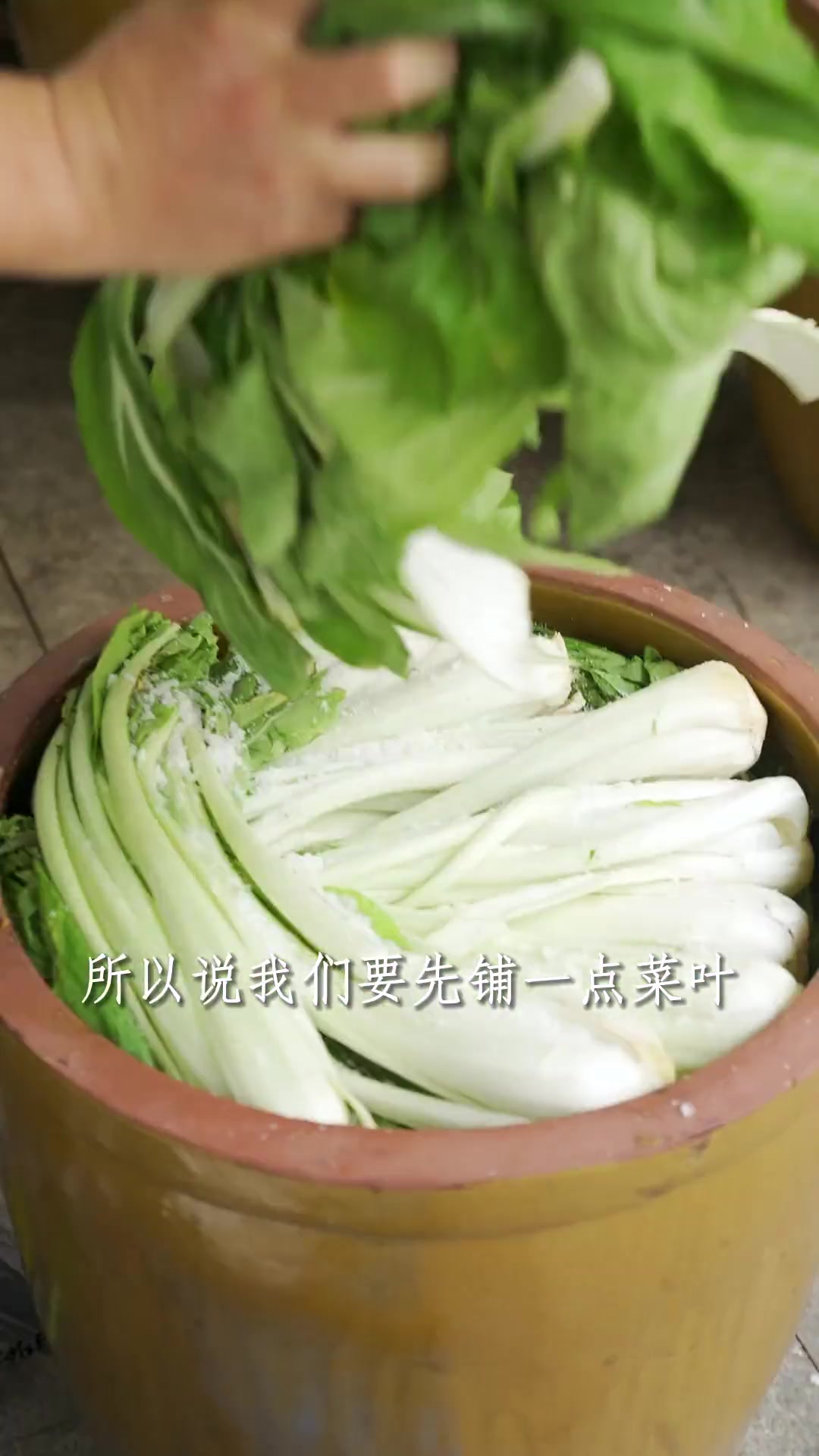 恰逢小雪！是杭州做冬腌菜的最好时节！也是杭州人老底子的味道！