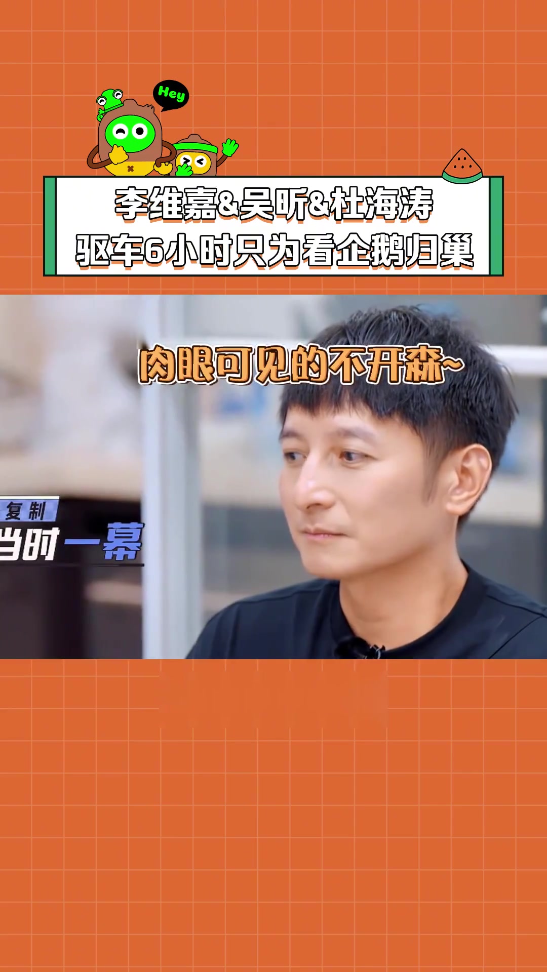 花12个小时只为看15分钟的企鹅归巢,真的是很难忘的事吧