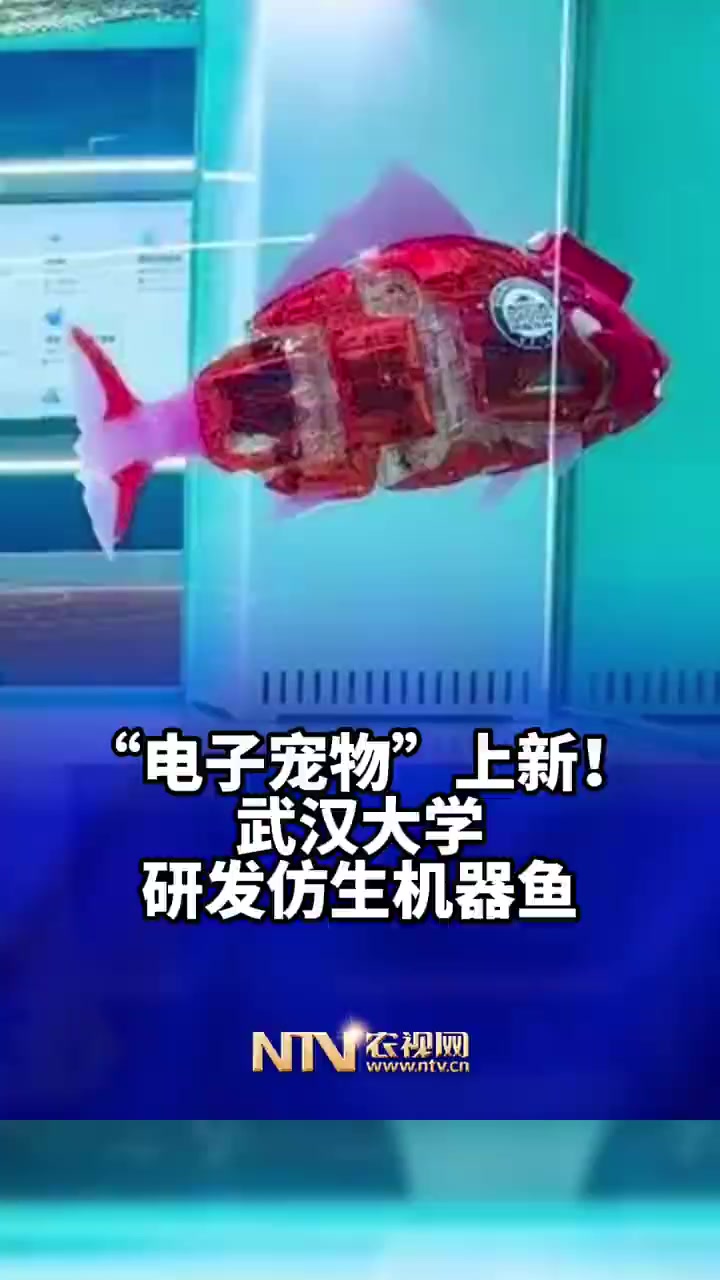 「武大研制出仿生机器鱼,网友:再也不怕把鱼养死了」武汉大学 参与研发的智能仿生鱼,包含头部
