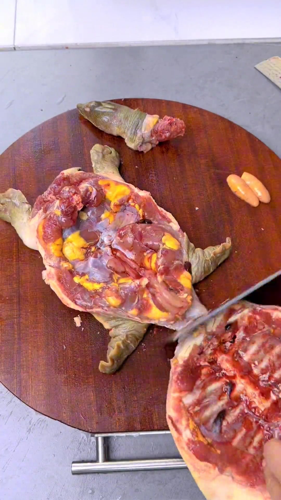 甲鱼炖鸡超补!老母鸡处理+甲鱼宰杀详细教程