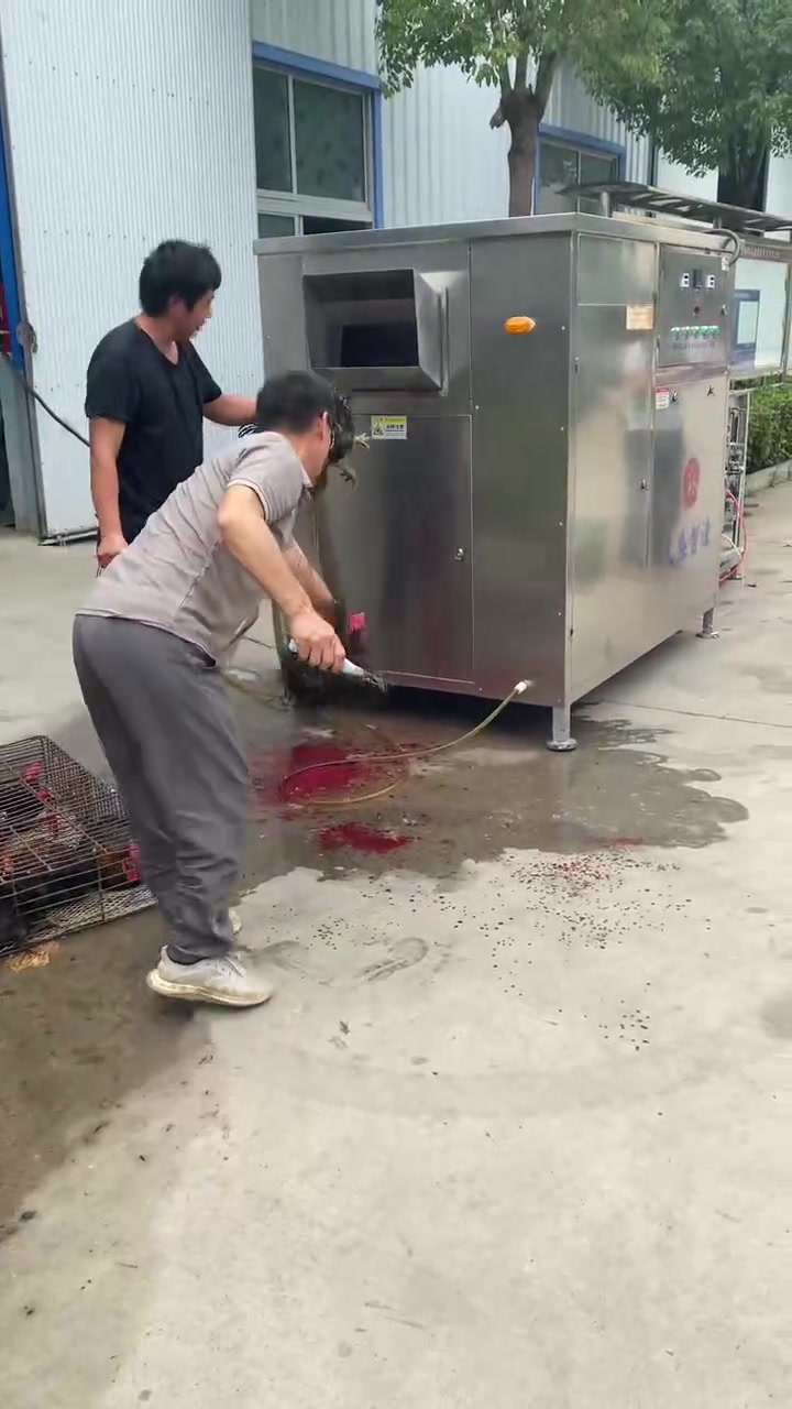 宰鸡这活看着简单,实际有点不简单。全自动家禽脱毛机厂区试机