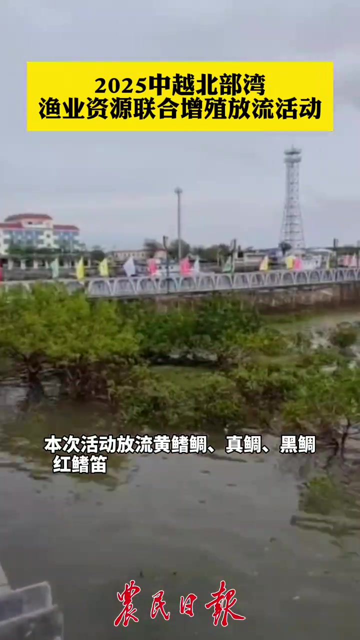 「2025年中越北部湾渔业资源联合增殖放流活动」5月16日在广西壮族自治区防城港东兴市北仑