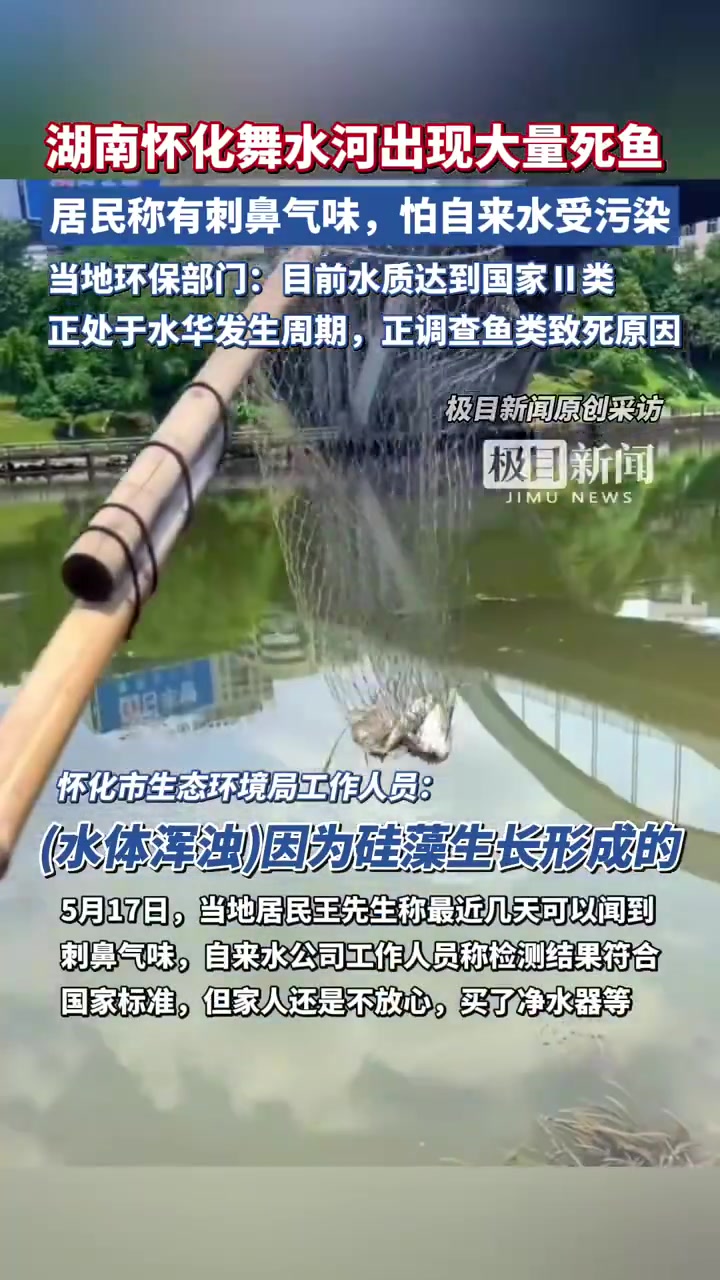 近日,多位湖南省怀化市民在网络平台发布信息称,流经城区的舞水河出现大量死鱼,怀疑水体遭到污