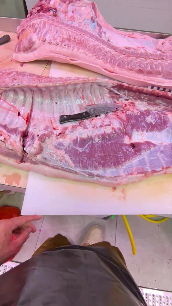 猪肉猪皮上的印象是什么？什么颜色代表公母？能不能吃？看完就知道