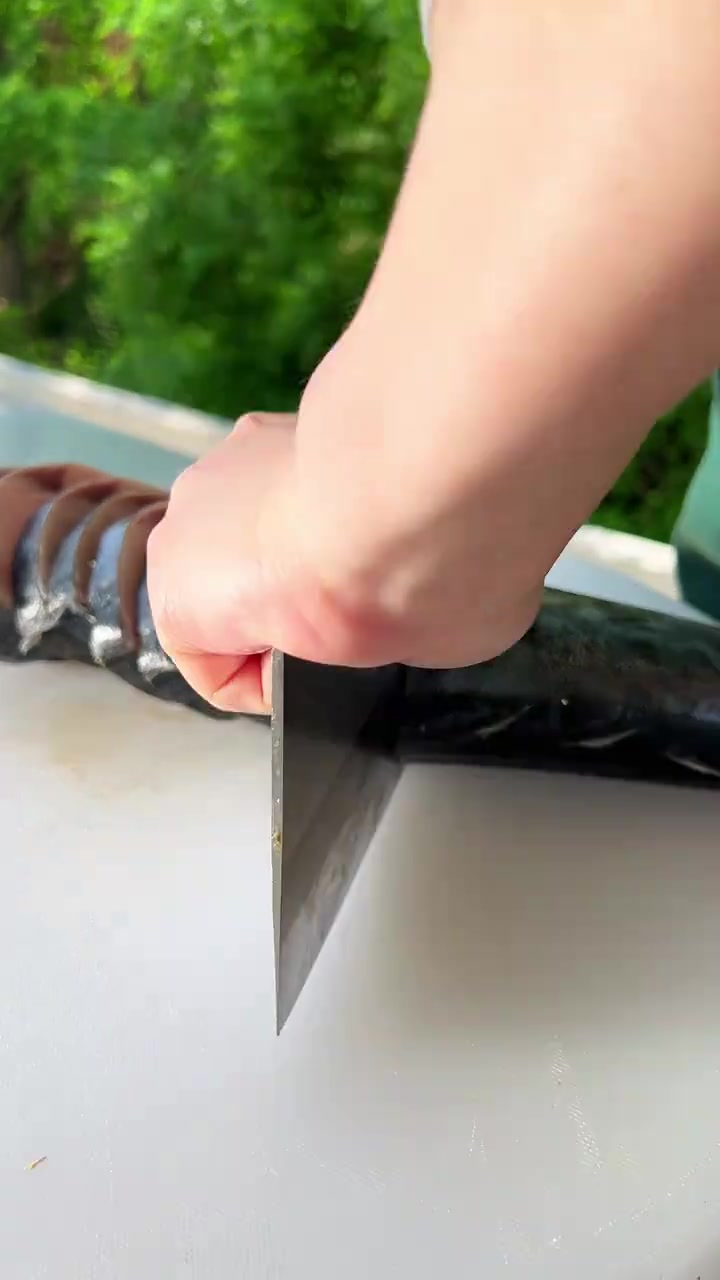 前两天我看很多朋友问这个五香鲅鱼怎么做，今儿哈咱就做个五香鲅鱼！这菜你就说下不下酒儿吧！