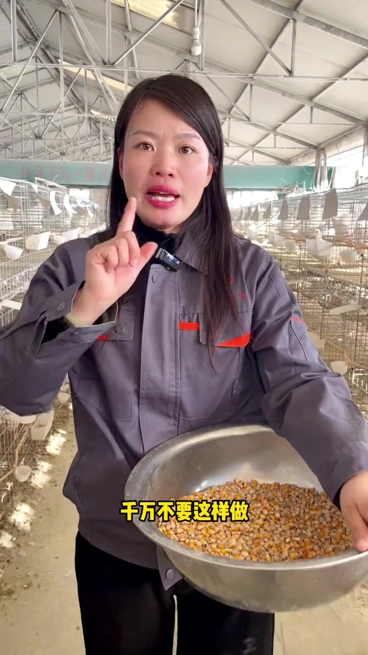 给大家整理了一份肉鸽各阶段饲料配比表,在视频最后