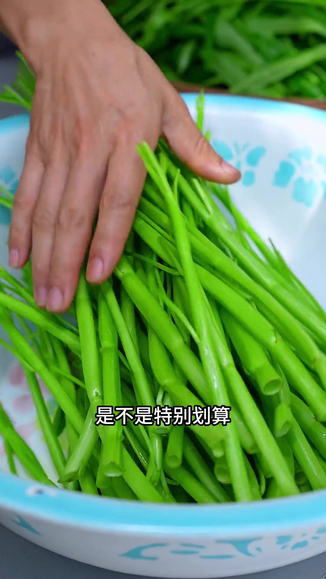 空心菜杆杆千万别再拿去喂猪了,跟我这样炒清脆爽口又下饭