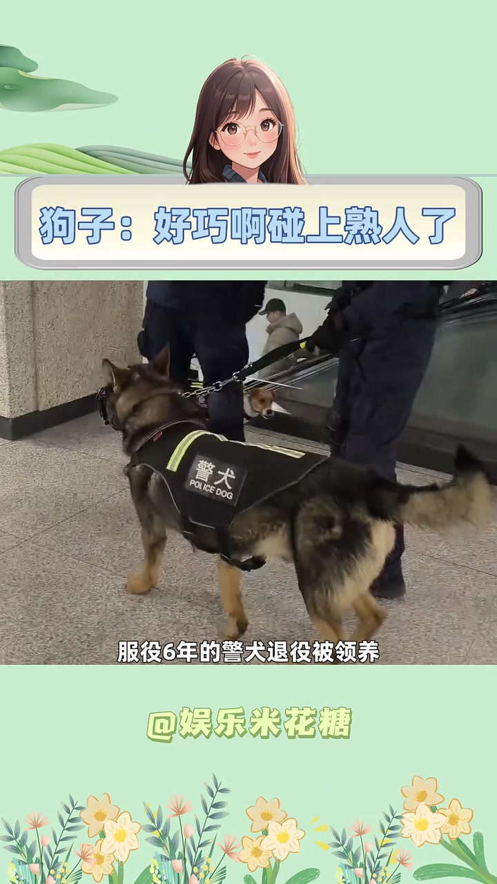 警犬:早说是你啊,去给我炒俩菜