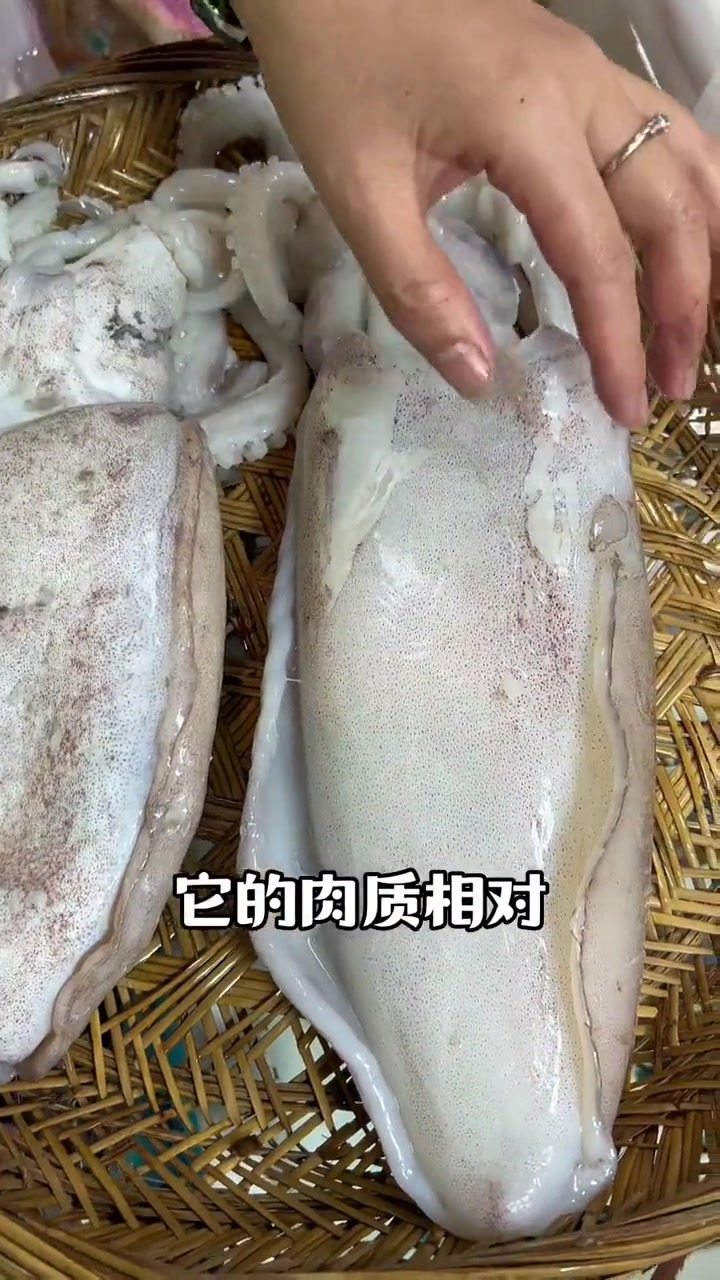 墨斗鱼(乌贼)与妮时有什么区别,还有它们有什么特征