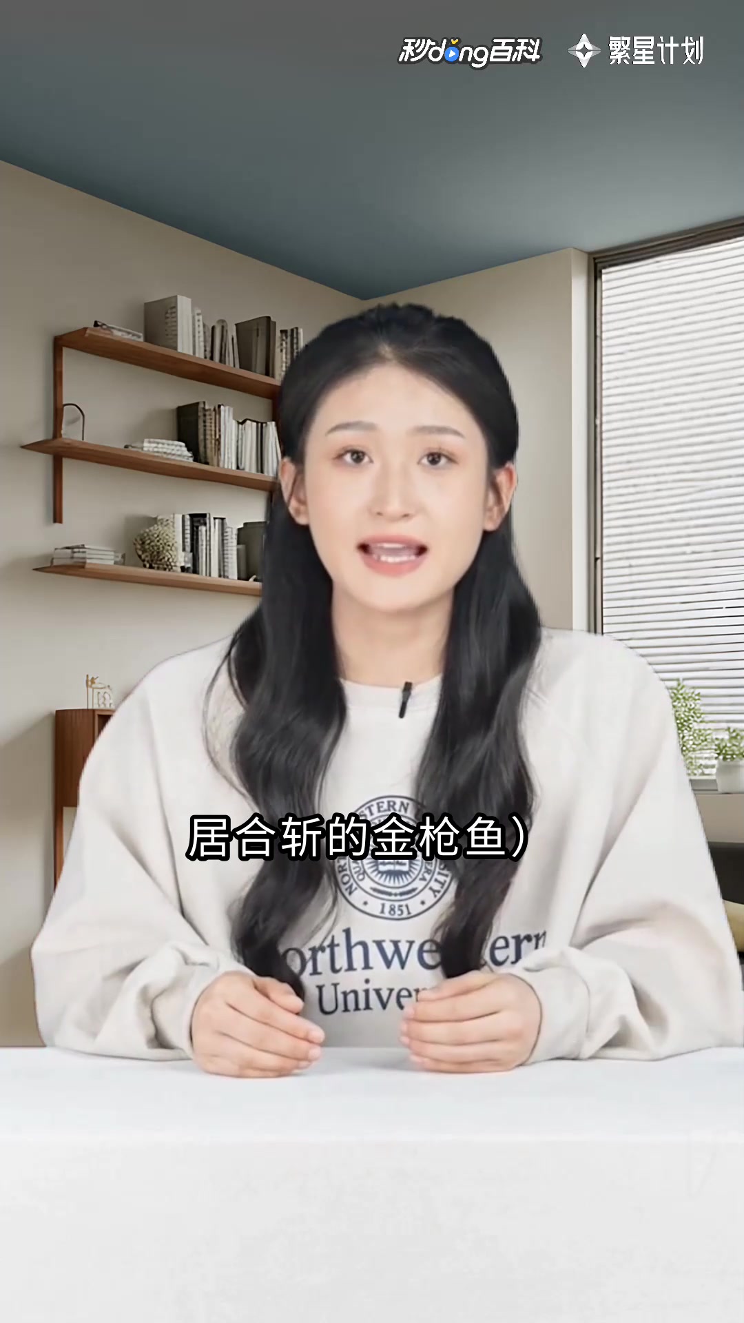 鸡斗士:一只鸡的逆袭史诗