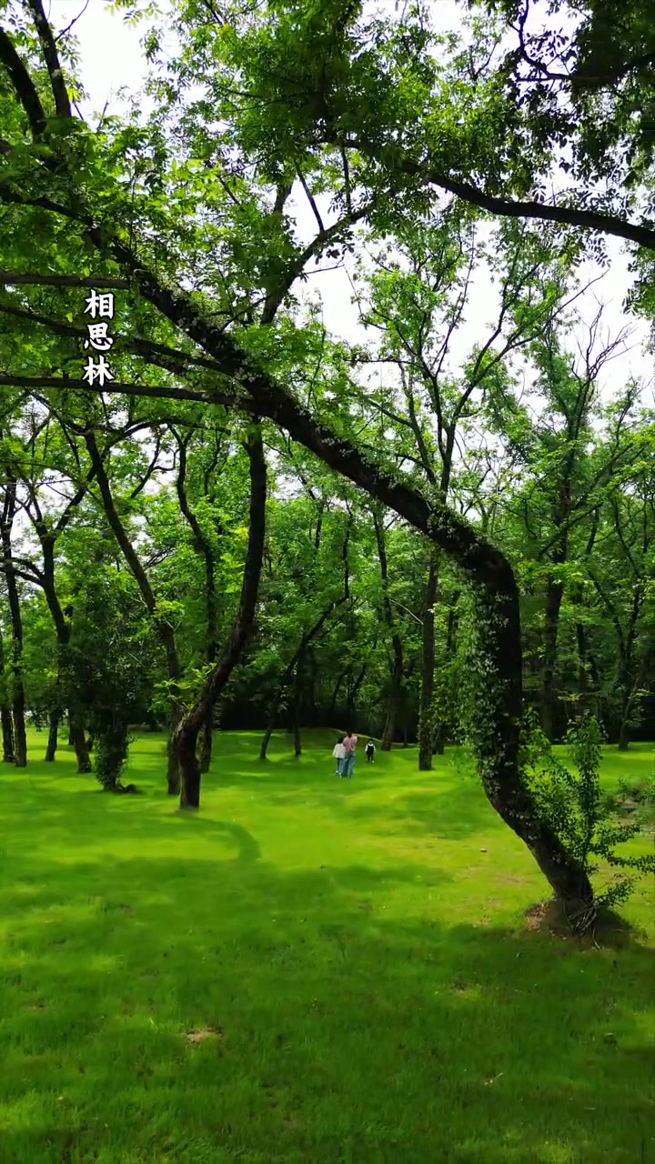 汤池十大打卡地,你去过几个?最后一个本地人都拍大腿!