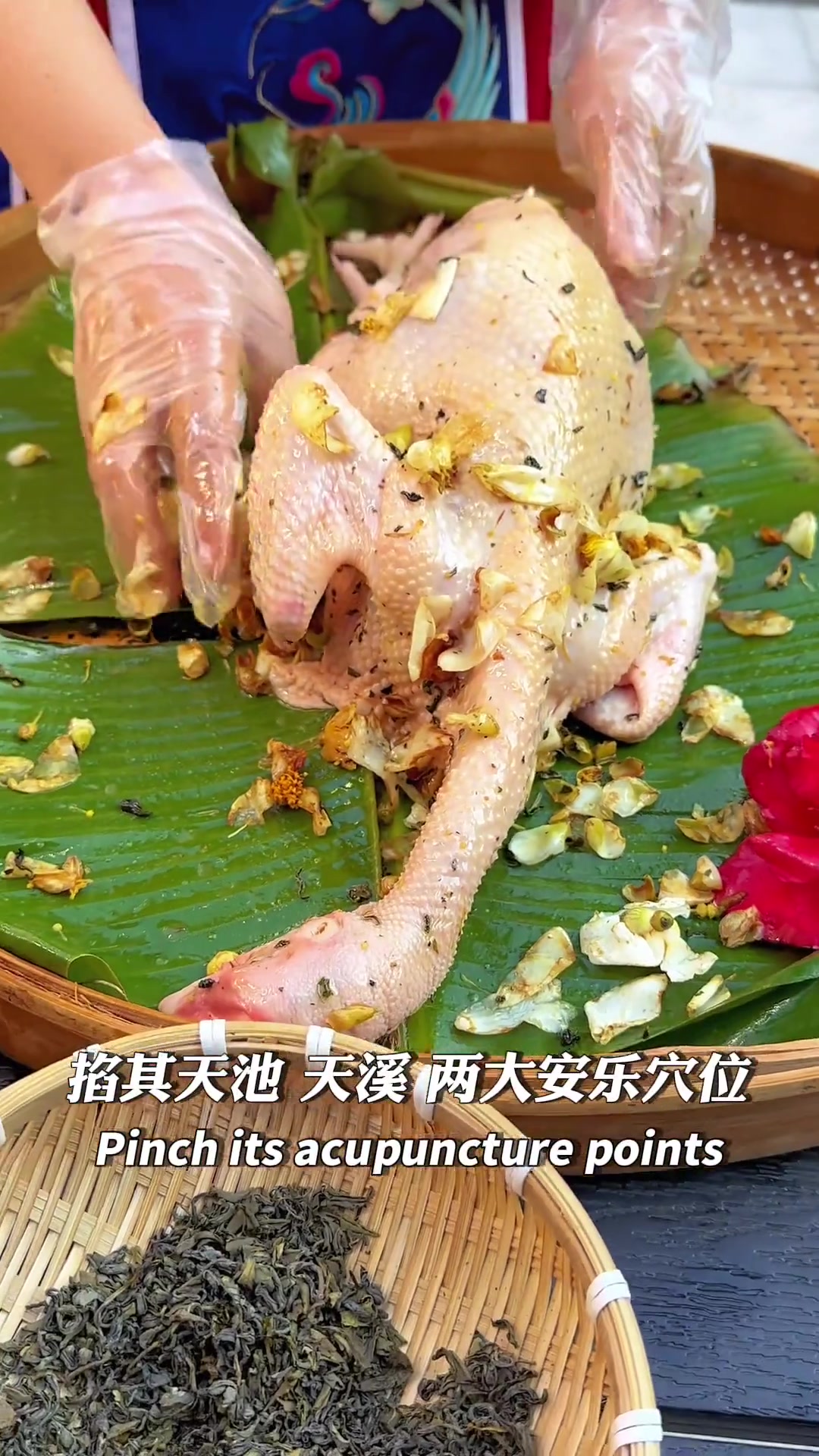 茶花鸡是畲族祖传美食,制作苛刻,需茶山养180天单身母鸡