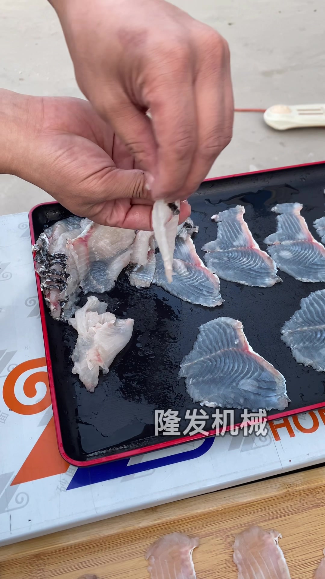 全自动斜切鱼片机