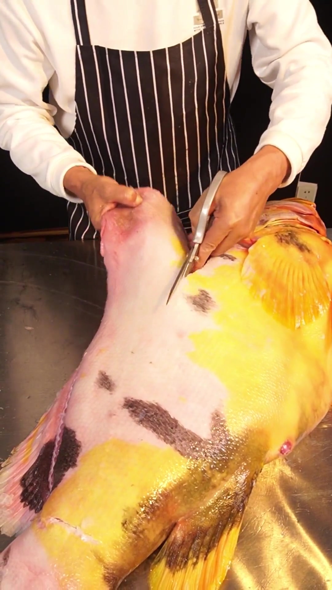 做海鲜几十年,这种金色的石斑鱼真是第一次见,尝一下味道怎样