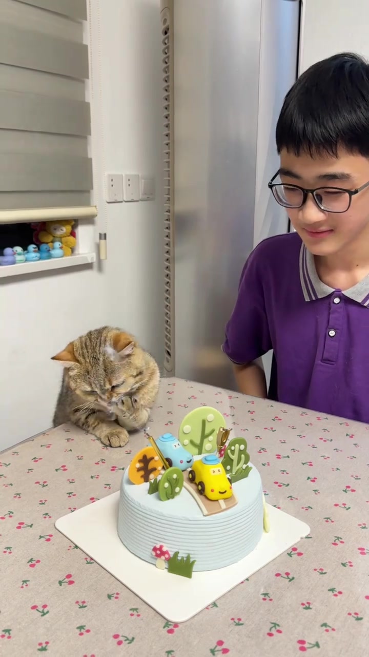 哥哥过生日，第一个吃蛋糕的却是猫咪