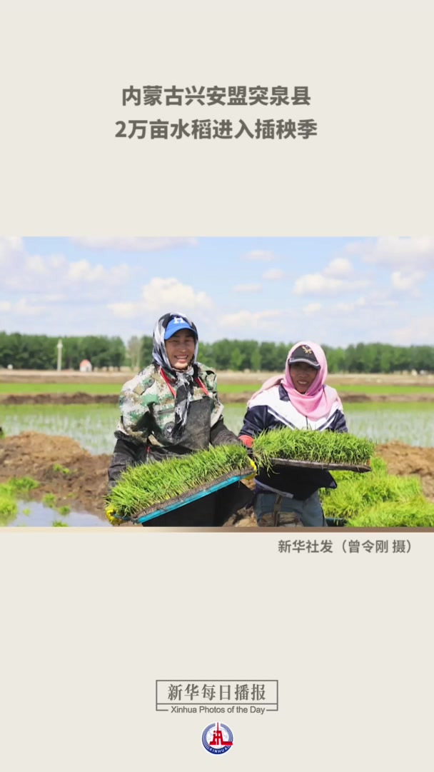 新华每日播报|5月19日