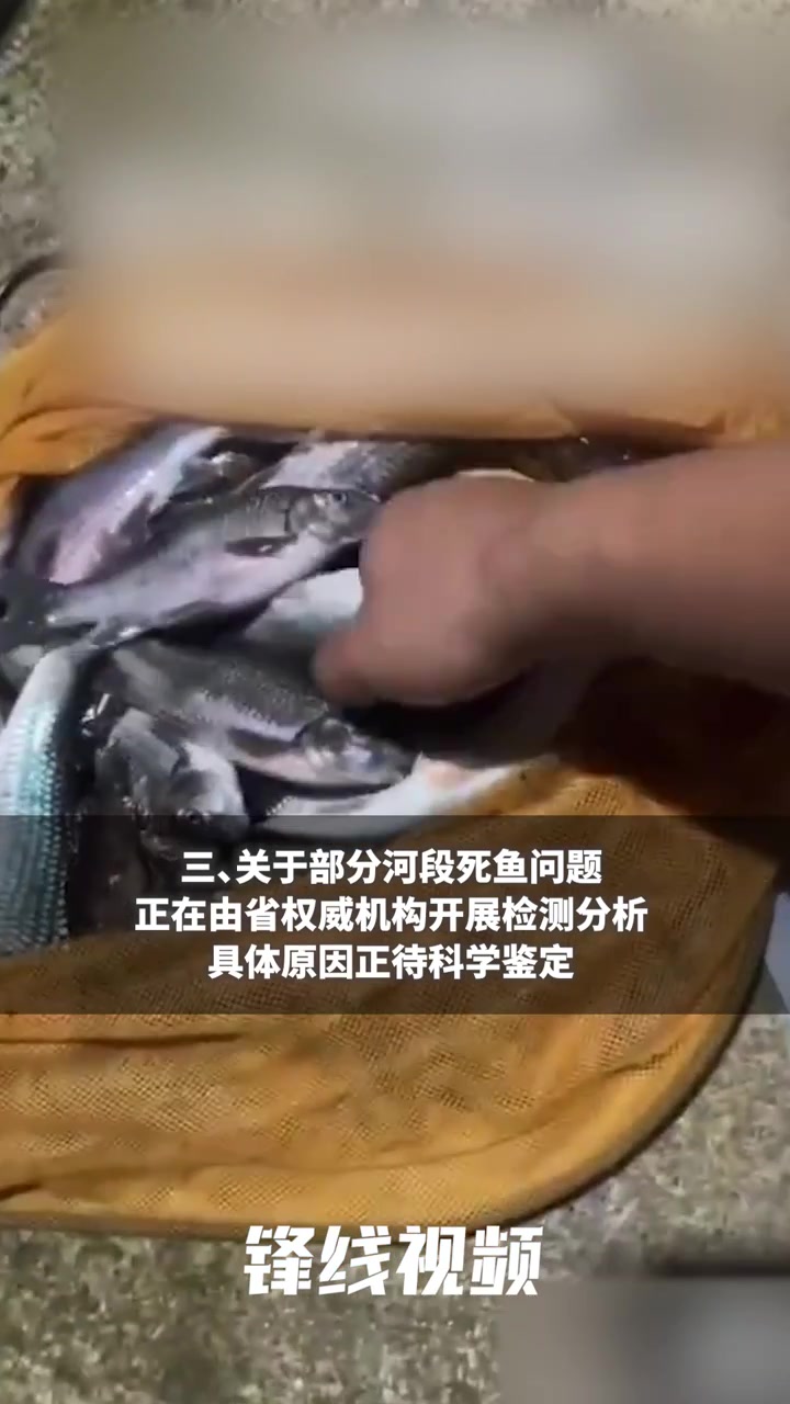 益阳市通报部分河段出现水体颜色异常和死鱼:暂未发现非法排污,死鱼原因正调查
