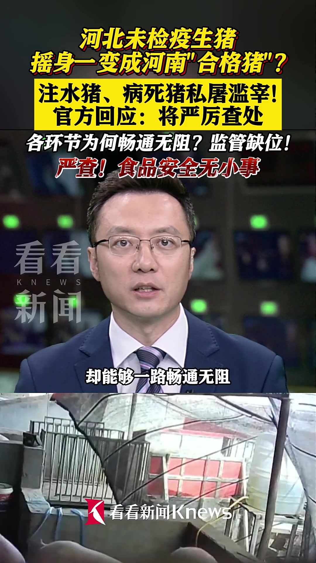 河北邯郸通报被曝涉生猪未检疫、注水问题