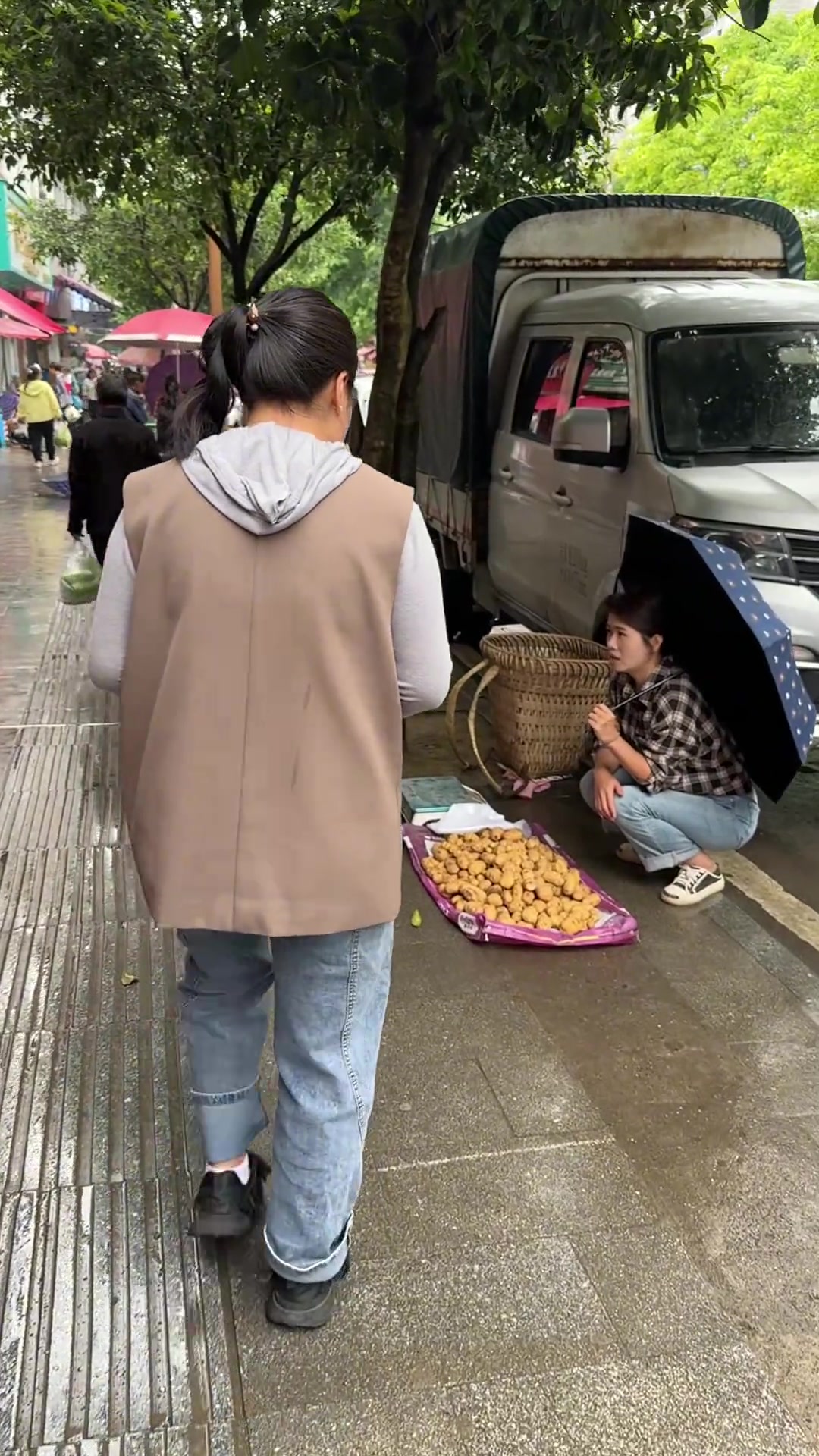 平凡而温馨的乡村生活,一屋两人三餐四季的日常