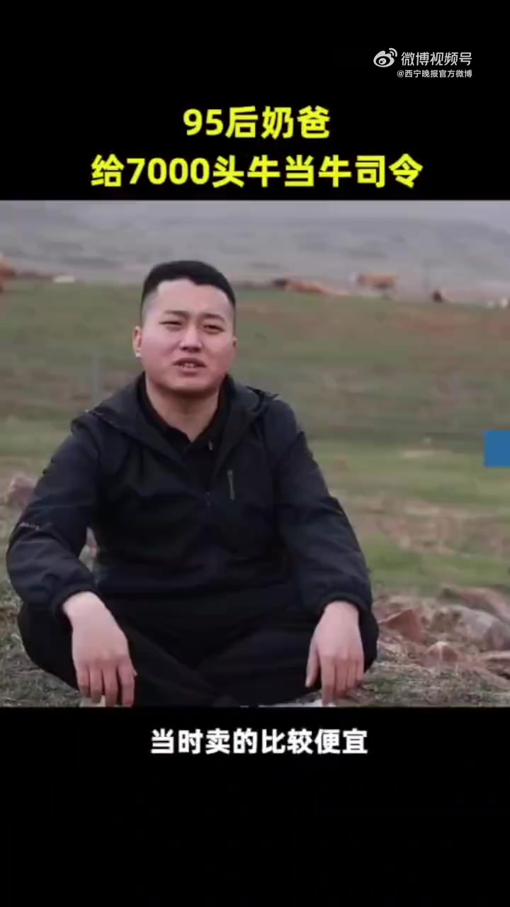 近两年山西文水的牛肉频频出圈,牛头肉甚至成为不少地方牛杂烩的主要食材。据商家李诗宣介绍,文