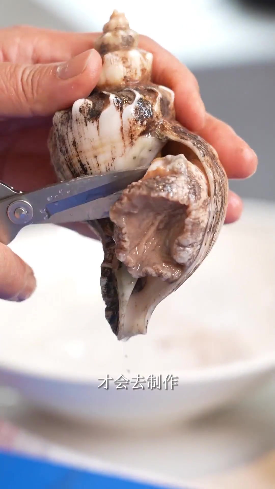 万物复苏显生机,粤菜师傅新菜式龙虾捞螺片香溢四方