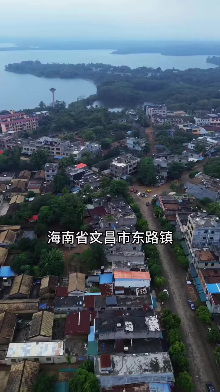 海南文昌东路镇风味美食