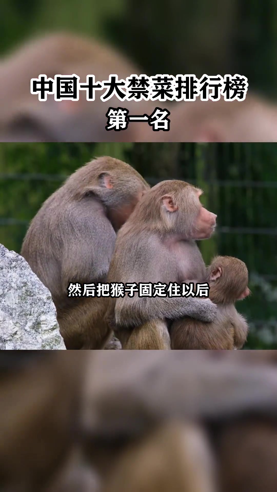 中国十大禁菜排行榜,第一名,“猴头”堪称舌尖上的罪孽,你见过吗