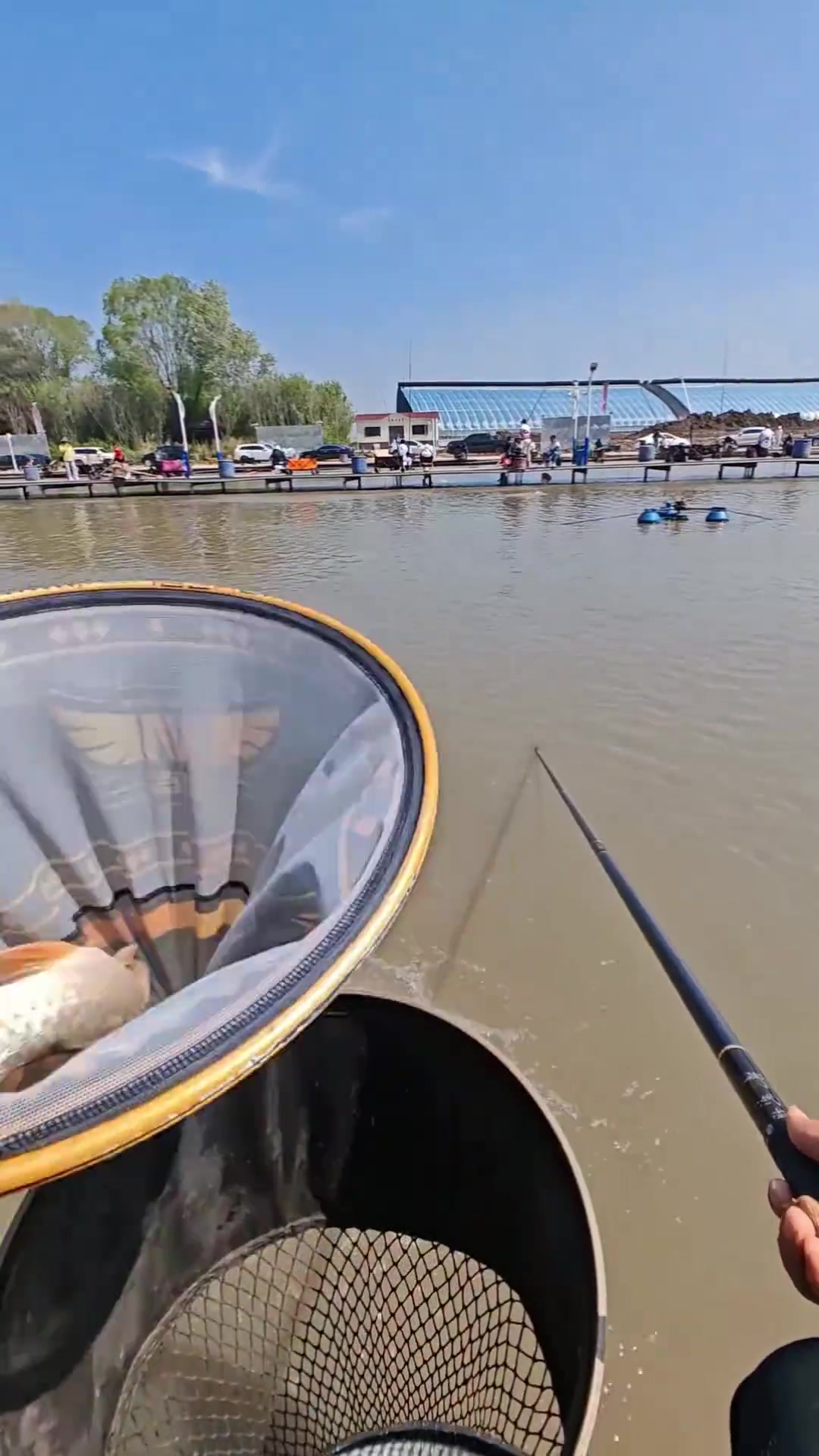 决战天价标鱼,原来钓鱼才是运动顶流,黑坑盘老板