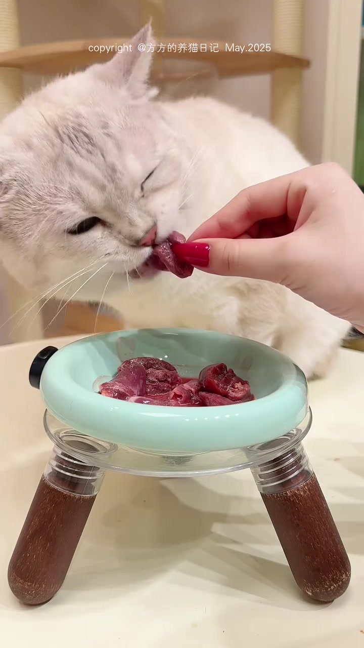 晚餐剪500克润润鸭心吃吃