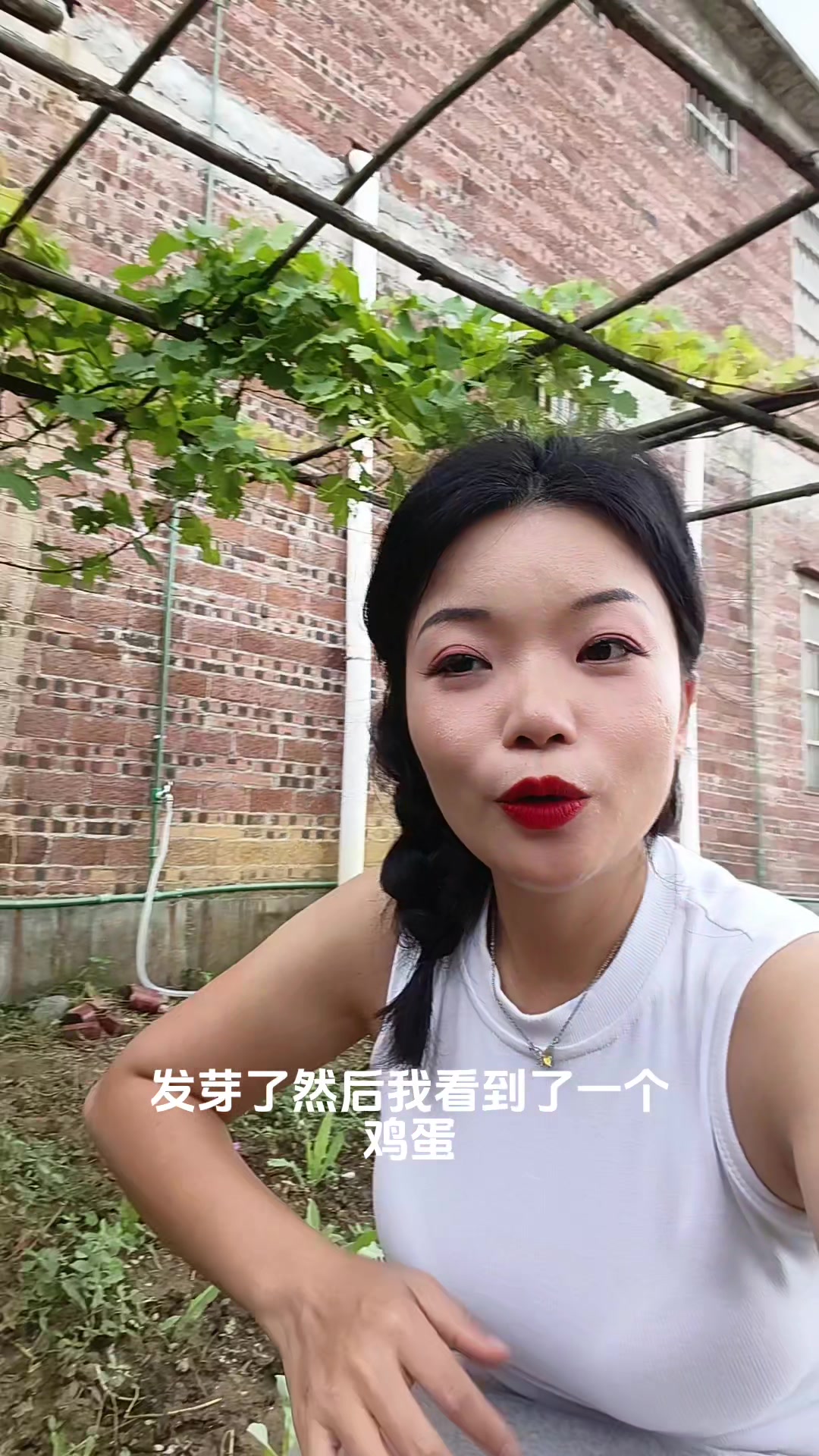 土鸡下蛋了,家里的五黑鸡关起来几天,今天下蛋了!