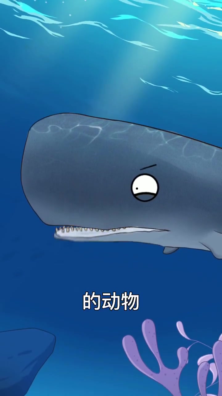 龙涎香竟然是鲸鱼的排泄物,你知道不?
