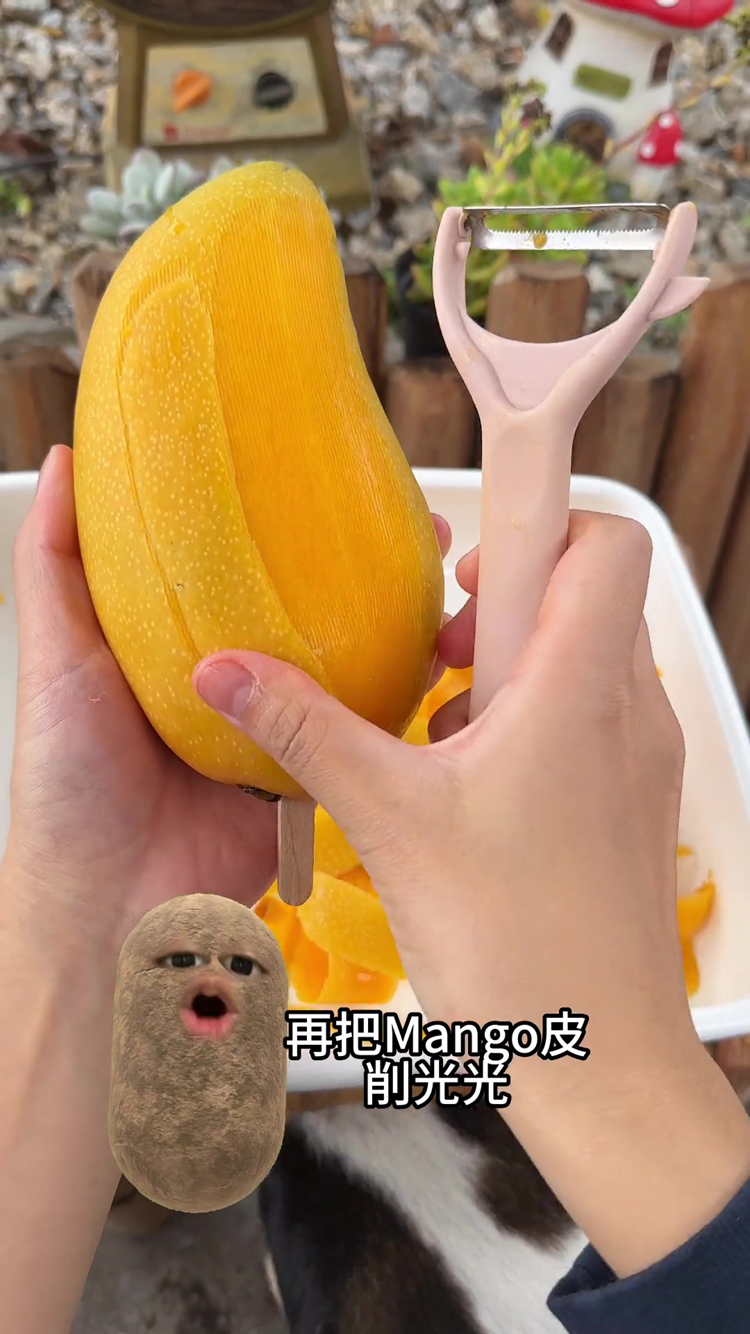 只需要三种材料,给我的好朋友李哈密做整个芒果巧克力脆皮冰淇淋