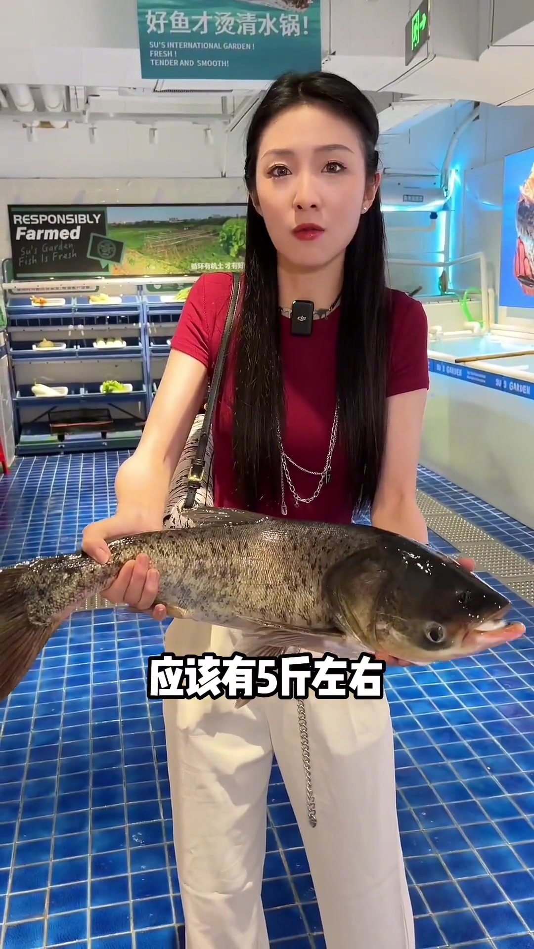 广东人实力派必吃清水鱼火锅