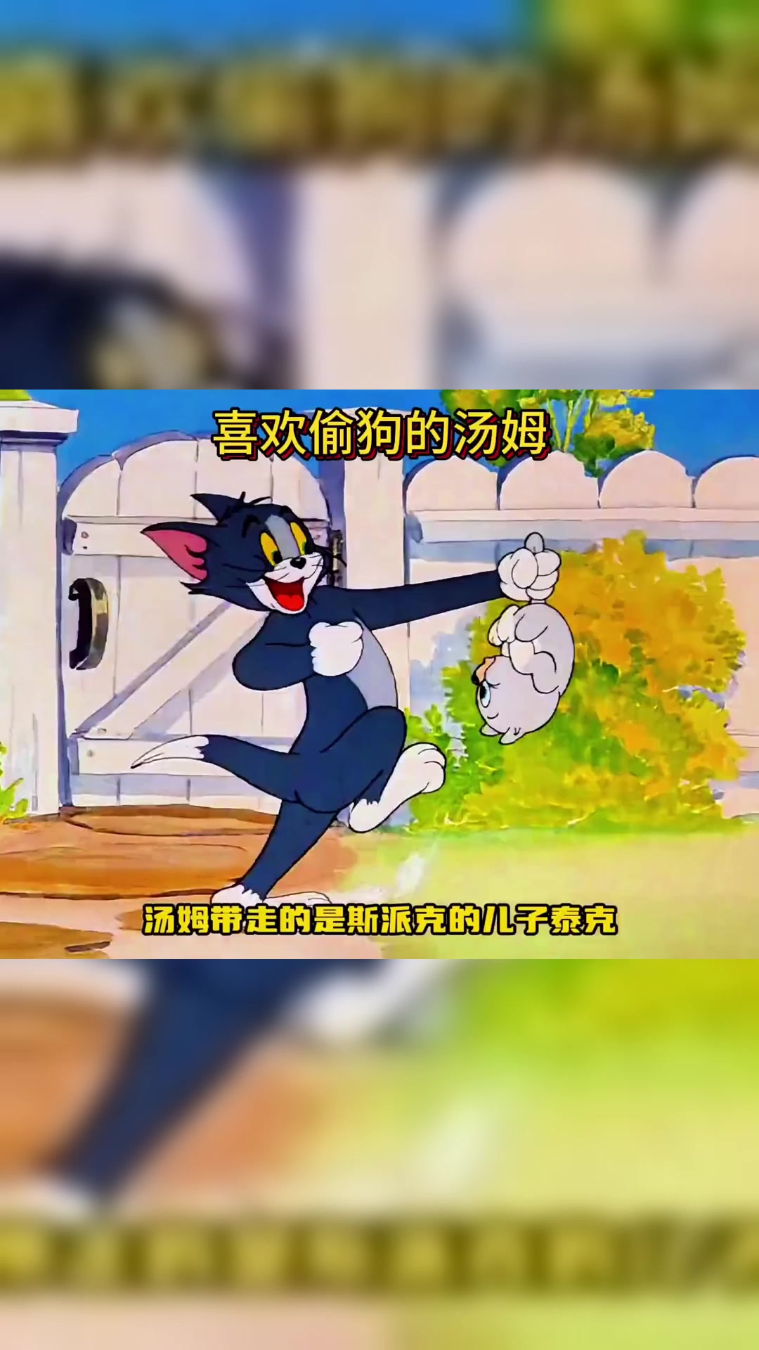 汤姆想抓杰瑞却每次都抓走泰克这可是斯派克不允许的