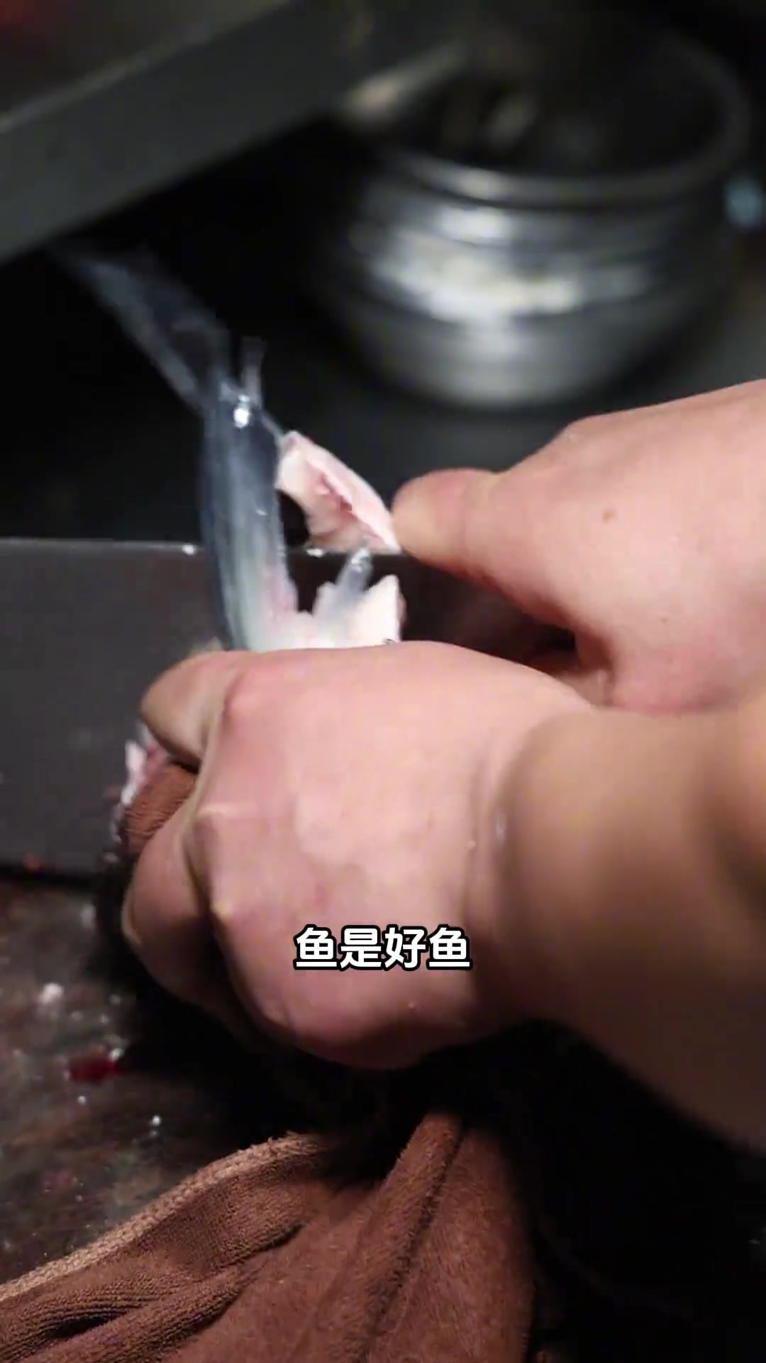 天目湖大花鲢,鱼头泡饭真好吃