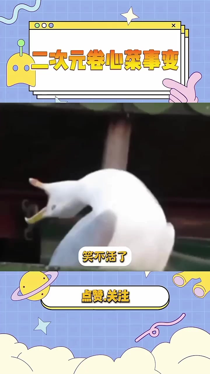二次元动漫，卷心菜事件