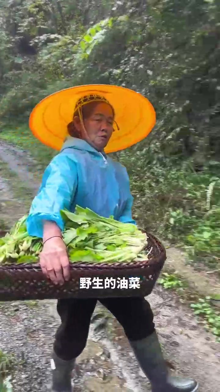 妈妈在山上拔的野生油菜,洗干净了做酸菜吃