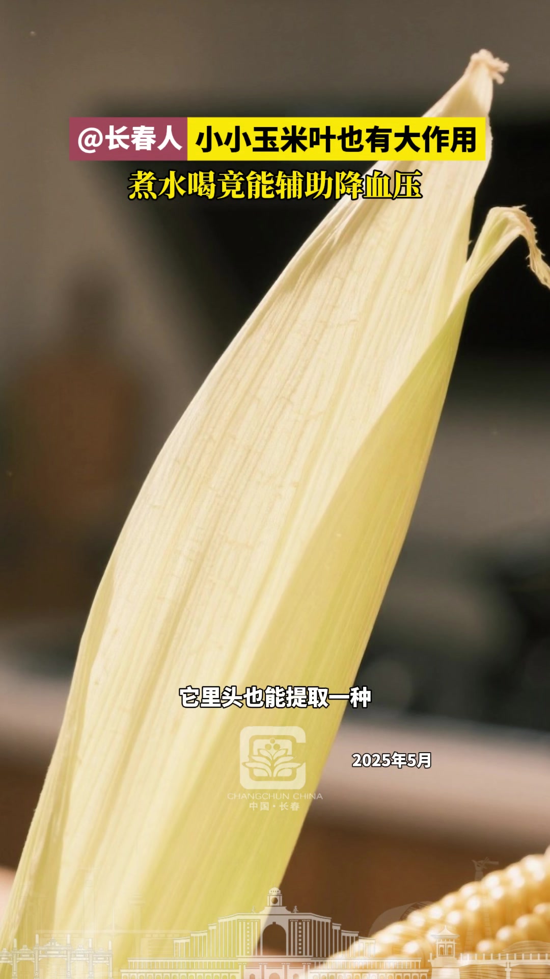 「玉米叶煮水有降血压功效」小小玉米叶也有大作用,煮水喝竟能辅助降血压!