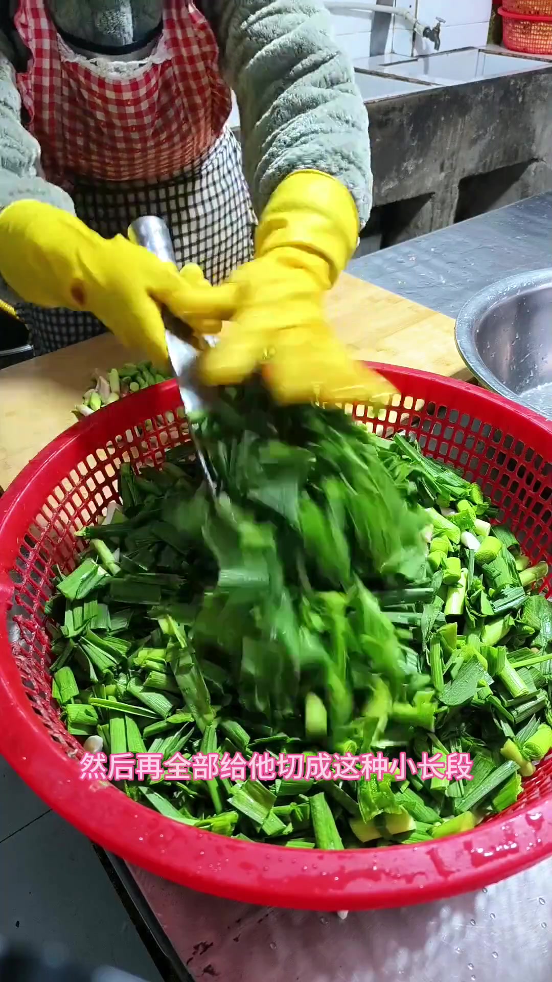 《咸鹅烧莴笋、小青蒜炒鸡蛋、大白菜豆腐、西红柿鸡蛋汤》