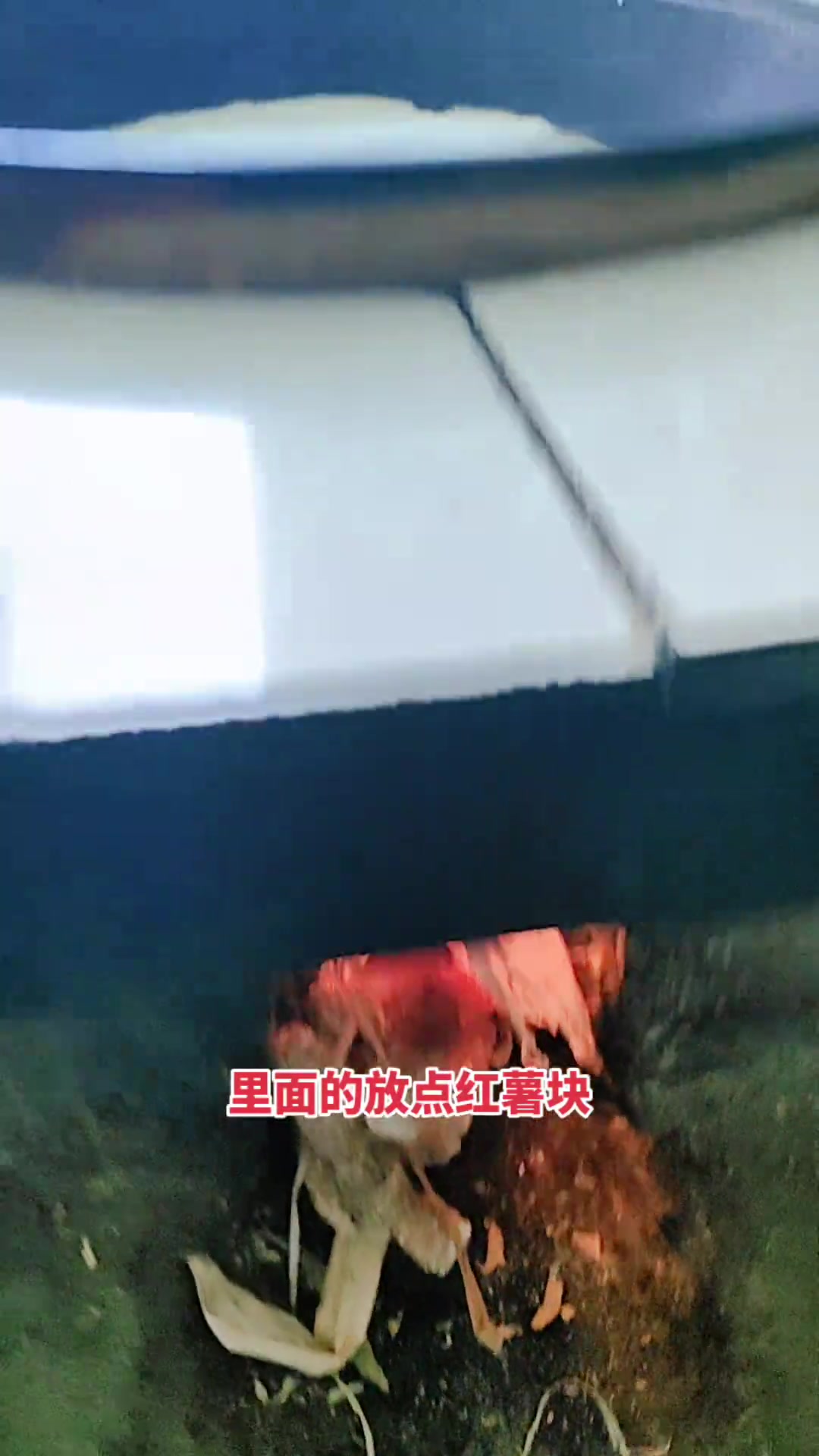 青菜红薯玉米粥,香甜好喝赛珍馐