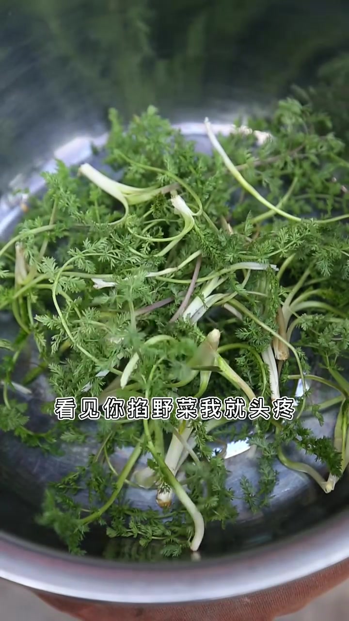 走在山野，整个空气中弥漫着野菜的清香；人们无法拒绝的味道永远是，山的味道，雨的味道，阳光的