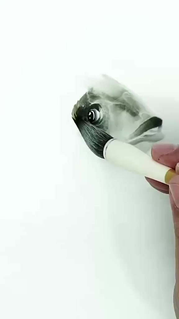 国画教程：如何画鱼