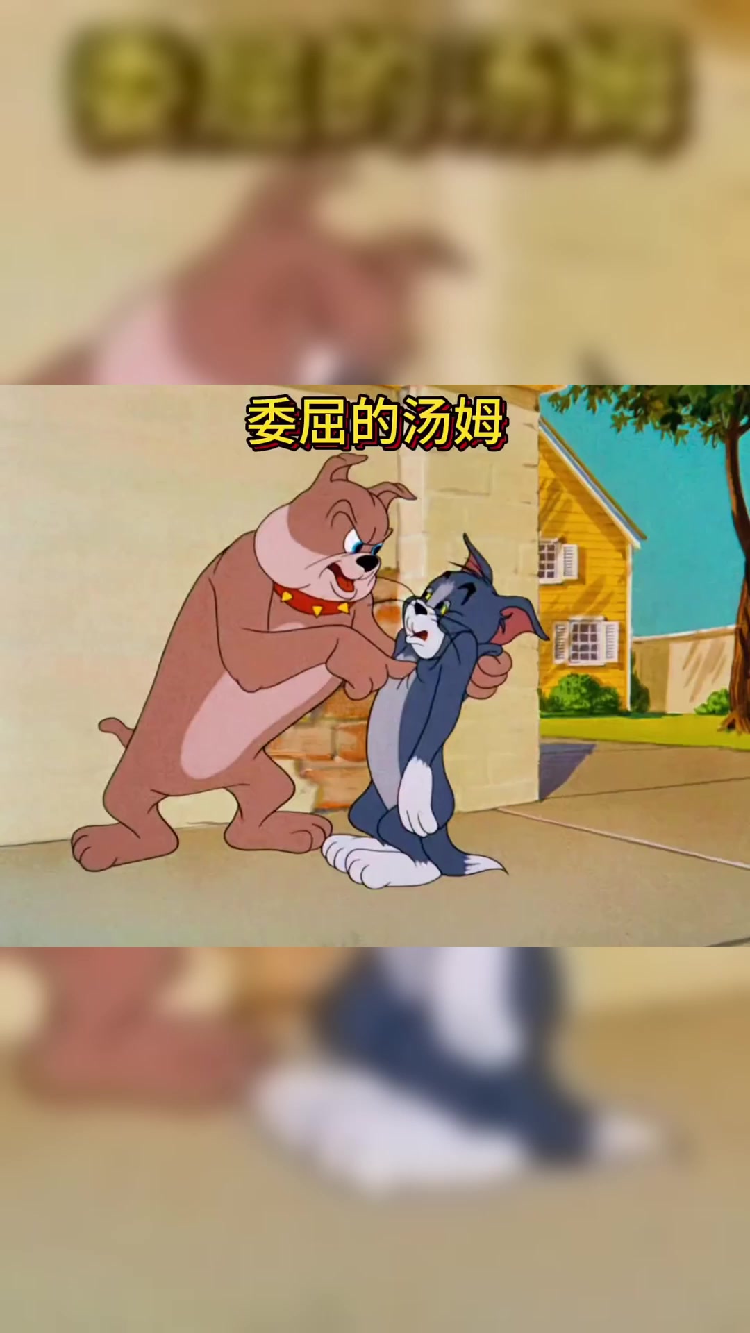 斯派克为了教狗儿子捕猫本领竟用汤姆做演员