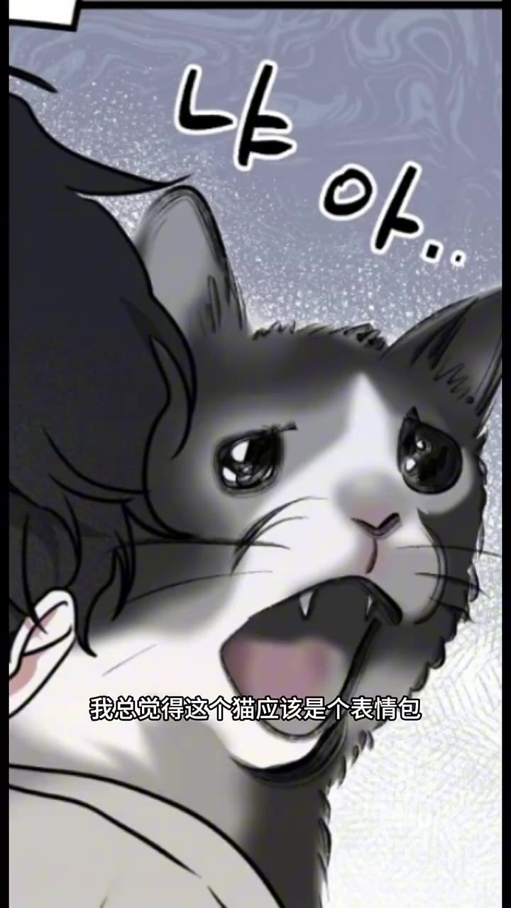 益音表情变化超好笑,小宝变咸鱼模样太可爱