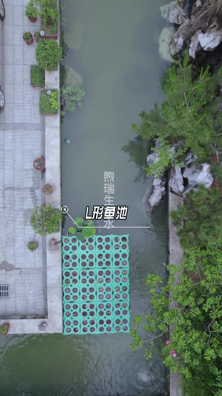 安徽池州150平方鱼池过滤系统改造完成,在主池内部隔出20平方做净化池,共分成9个仓,设计