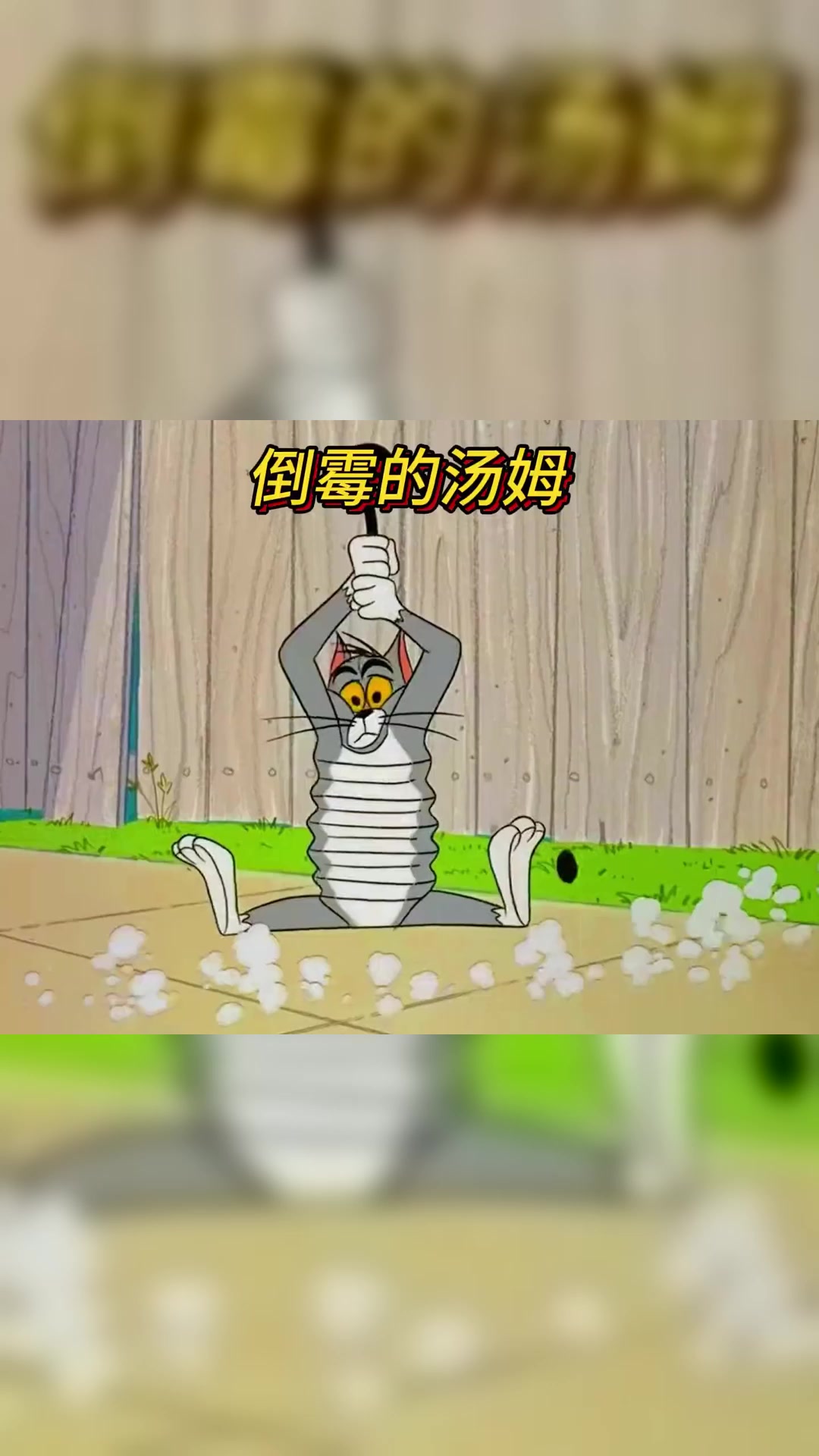 汤姆抓杰瑞的路上为什么受伤的总是汤姆呢