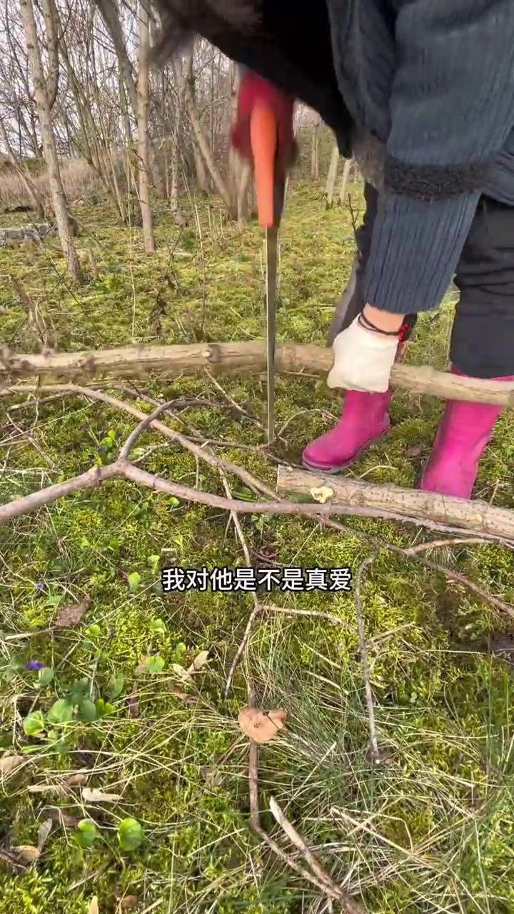家庭主妇自制鸡笼，丢，只嗨佬好漏水啊，自己能干自己干比较好～