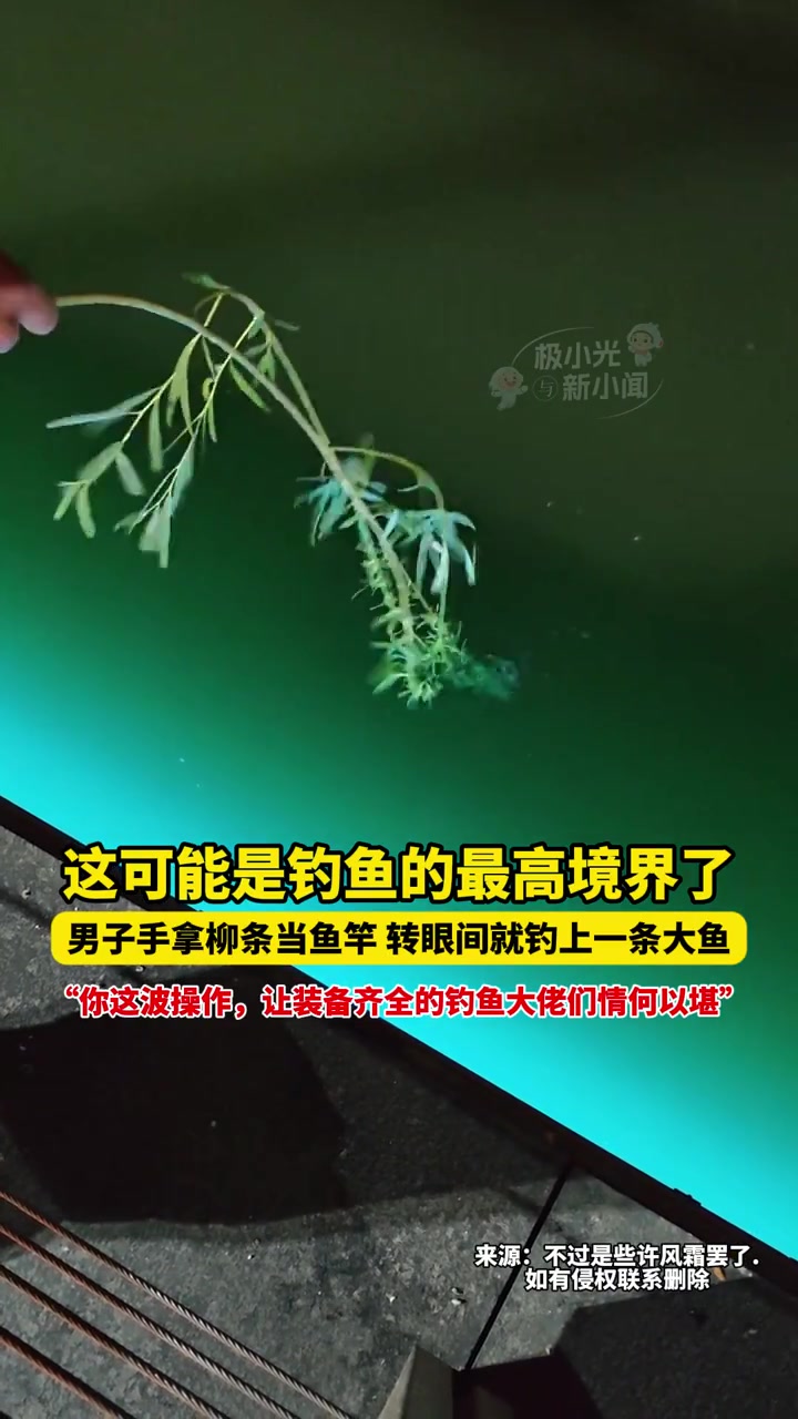 5月24日河北,这可能是钓鱼的最高境界了,男子手拿柳条当鱼竿,转眼间就钓上一条大鱼,“你这