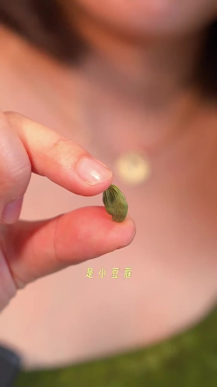 愿意做饭给别人吃的人比较不自私，初夏夜晚招待朋友喝印度香料奶茶吃炸酥物