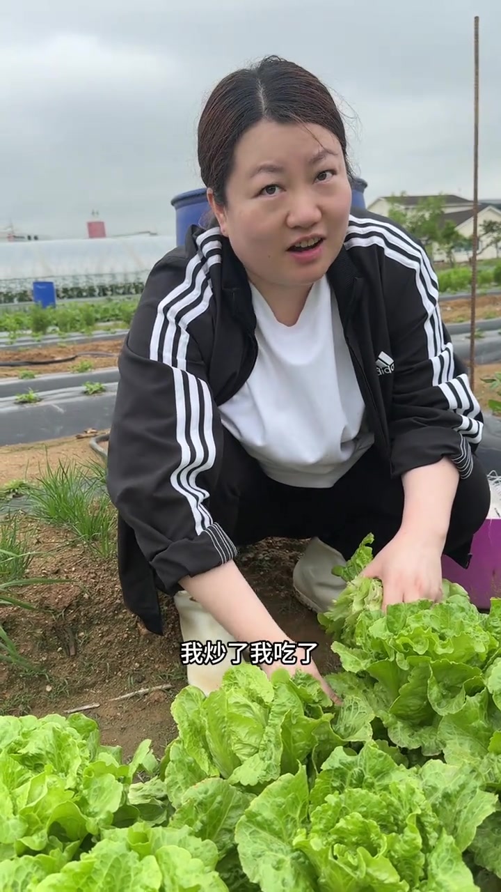 在韩国终于实现蔬菜自由啦，每次叫朋友过来摘蔬菜都要帮忙干活的